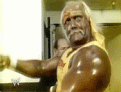 Click image for larger version

Name:	hogan0mf.gif
Views:	287
Size:	149.9 KB
ID:	396680