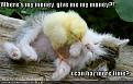 Click image for larger version

Name:	6f9x3xi.jpg
Views:	219
Size:	32.4 KB
ID:	397030