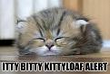Click image for larger version

Name:	0097.jpg
Views:	194
Size:	65.7 KB
ID:	397033
