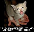 Click image for larger version

Name:	funny_cat_pictures_28.jpg
Views:	214
Size:	26.7 KB
ID:	397053