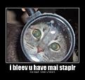 Click image for larger version

Name:	i-bleev-u-have-mai-staplr-mai-staplr-i-bleev-u-have-it.jpg
Views:	204
Size:	78.7 KB
ID:	397061
