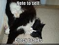 Click image for larger version

Name:	notetoselfc128392966326718750.jpg
Views:	192
Size:	32.2 KB
ID:	397083