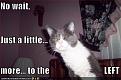 Click image for larger version

Name:	NowaitJusta128399897648312182.jpg
Views:	196
Size:	25.7 KB
ID:	397084