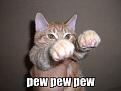Click image for larger version

Name:	pewpewpewzs5.jpg
Views:	203
Size:	32.5 KB
ID:	397086